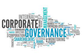 How to use governance in a sentence. Corporate Governance Risknet The Risk Management Network