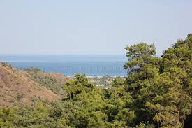 The grass fire was started by a downed power line on the trail. Landscapes Nature About Fire Mountain Yanartash In Turkey Stock Photo Image Of Antalya Campfire 114463088