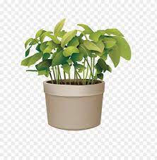 250k free png images with transparent background in 1500 pixels x 1500 pixels. Ictures Of Potted Plants Best Of Flowerpot Plant Vector Transparent Background Potted Plant Png Image With Transparent Background Toppng