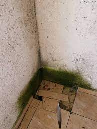 Noua oferta de cazare hotel select. Mamaia Japca Financiara Impresii Select Hotel Mamaia Amfostacolo