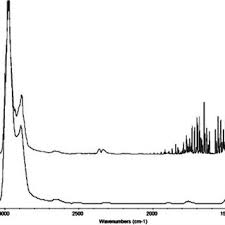 Laëtitia BUREL-EBEL