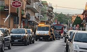 Image result for Oliverella