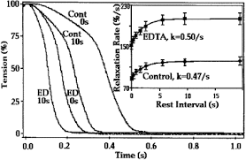 Intracellular Edta Mimics Parvalbumin In The Promotion Of