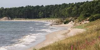 The settlement dates back to the 11th century and has become a busy ferryport, local administrative centre and tourist attraction. Ystads Sandskogs Strand Beach In Ystad Guidebooksweden