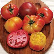 The 2021 great tomato plant sale was a wonderful success! Rainbow Blend Heirloom Tomato Seeds Park Seed