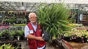 Peonies peonies are hardy plants. Best Plants For Your Porch And Patio That You Almost Can T Kill