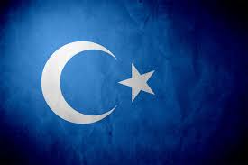free east turkestan dogu turkistan a ozgurluk bayrak turkler duvar kagitlari