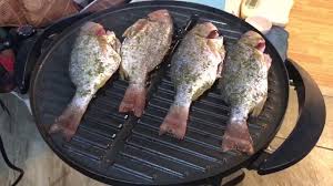 In a shallow dish or bowl, mix together the soy sauce, honey, ginger, cumin and lime juice. Red Snapper Grilling On George Foreman Youtube