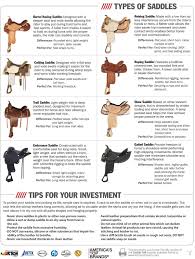 Saddle Types Horse Riding Tips Horse Saddles Horse Information
