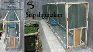 16 manfaat daun mengkudu untuk burung kicau serta 4 cara pemberiannya; Cara Membuat Pintu Kandang Umbaran Pagar Rumah