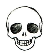 Step By Step Tutorials How To Draw Skulls Skull Skulls Drawing Skull Drawing Easy Skull Drawings