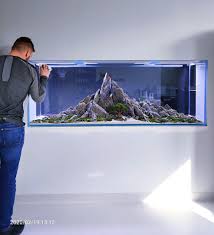 Lebih ceria apabila diletakkan dalam aquarium meskipun bersaiz dua kaki setengah. Akwarium Slodkowodne Aranzcje Do Akwarium Instalacje I Hardscape Do Akwarium Zakladanie I Pielegnacja Akwarium Bielsk Di 2020 Ikan Akuarium Akuarium Dekorasi Rumah