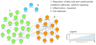 With the availability of new technologies researchers have increased their efforts to develop novel biomarkers for early diagnosis, and evaluation and monitoring of therapeutic treatments. Cancers Free Full Text Proteomic Biomarkers For The Detection Of Endometrial Cancer Html
