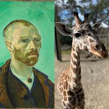 Wellington Zoo Te Nukuao