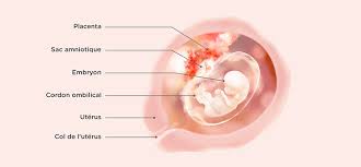 En bon état ensembles de vêtements bébé pour bébé de 3 mois. 10 Semaines De Grossesse Symptomes Et Conseils Pampers