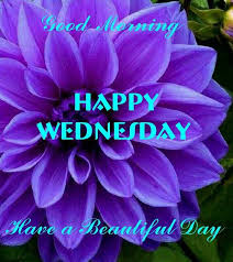 These wednesday images, ecards, are created in such a way that it helps your mind to relax and make this wednesday a wonderful one. Good Morning Happy Wednesday Greetings Good Morning Wednesday Wednesday Morning Greetings Happy Wednesday Quotes