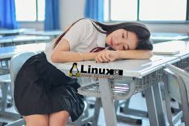 AnimeGANv2 – 这款神器让照片秒变宫崎骏日系风格- Linux迷