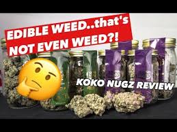 Get involved in the new novelty chocolate craze thats taken the states by storm and featured in various media outlets and endorsed by many famous celebrities and actors. Koko Nuggz Edible Weed That S Not Even Weed Youtube