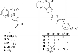 Image result for Ethulia vernonioides