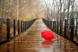 Break one of these, win a free ban. Red Umbrella In Rainy Day Wallpaper For Android Iphone And Ipad