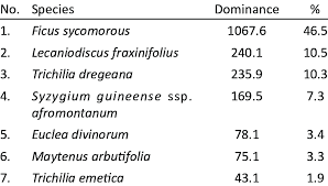 Image result for Lecaniodiscus fraxinifolius