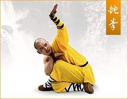 Snake Shaolin Kung Fu Drawing Reference