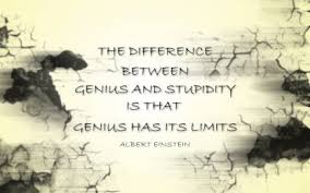 Only two things are infinite, the universe and human stupidity, and i'm not sure about the former. Albert Einstein The Difference Between Genius And Stupidity Is That Genius Has Its Limits Motivational Posters For Office And Home Decor Inspiration Quote Poster 12x18 3d Poster Quotes Motivation