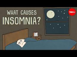 Image result for Insomnia Causes