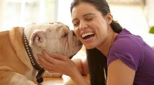 Thousands Nominate their Vet