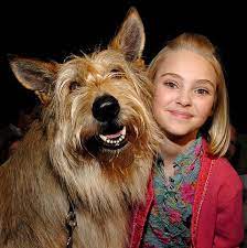 Perhaps your new dog is very girly and deserves a name fit for a princess or perhaps she needs one that is a little less feminine. 40 Famous Movie Dogs We Wish Were Our Pets