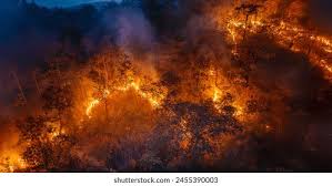 Image result for tbn:XVFRz-6Maj2JLM::www.jolmag.co.za/wildfire/images/Logos/vuvuzela_header.jpg