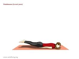 Yoga Poses The Locust Pose Shalabhasana Healthy Living
