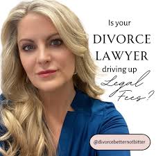 DIVORCE DYSREGULATION "Regulate before you negotiate/mediate/litigate!"