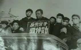 Image result for 文革批斗图片