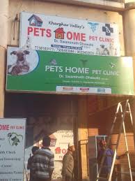 I feel confident taking my pets there all the time. 7 Best Veterinary Clinics In Navi Mumbai