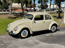 Image result for Medium Green 1951 Beetle