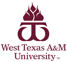 #67 in best online mba programs (tie) overall score 76 /100. The 20 Best Texas Online Mba Degree Programs Mba Central