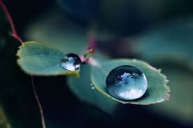 Image result for abstract photography