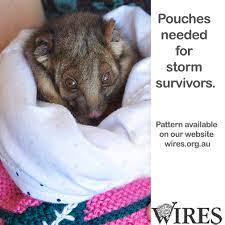 We Need Your Help After The Storms We Have Many Orphaned Joeys And Our Volunteer Animal Carers Need Knitted Pouches Fo Diy Mittens Crochet Pouch Pouch Pattern