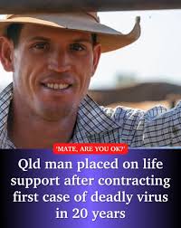 Sunshine Coast Daily