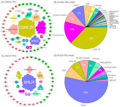 The Co Expression Networks Of Differentially Expressed Rbps