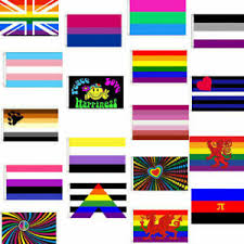 National and nonbinary flag history how did flags come to be? Lgbt Gay Pride Flags 3 X 2 Rainbow Genderqueer Transgender Non Binary Etc Ebay