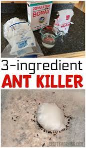 We sell professional do it yourself pest control (diy), exterminator and extermination insecticide, pesticide, chemical and bug killer treatment products to. 3 Ingredient Ant Killer Recipe Crafty Morning