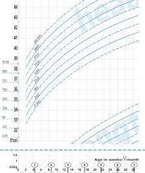 Image result for Preterm Infant Growth
