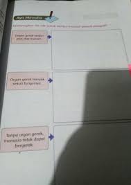 Kembangkan Ide Ide Pokok Berikut Menjadi Sebuah Paragraf Brainly Co Id