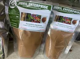 Image result for Pycnanthus