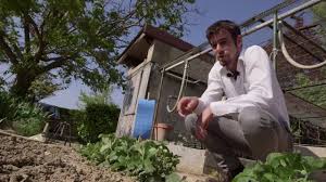 En plus d'apporter une beauté magique à n'importe quel jardin, les papillons aident à favoriser sa croissance en pollinisant les fleurs. Les Pieges Englues Contre Les Mouches A Pheromones Contre Vers Et Papillons Filets Anti Insectes Youtube