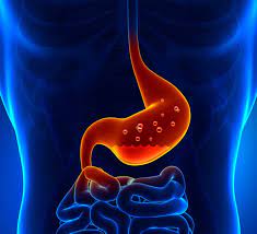 En finir avec le mal d'estomac, l'acidité gastrique, brûlures, helicobacter, rgo, ulcère, gastrite, remontées acides etc.méthode naturelle: Focus Sur La Bacterie Helicobacter Pylori Definition Infection Et Traitement