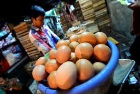 We did not find results for: Peternak Industri Pengolah Telur Bisa Selamatkan Harga Republika Online