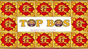 We would like to show you a description here but the site won't allow us. Live Higgs Domino Top Bos Youtube